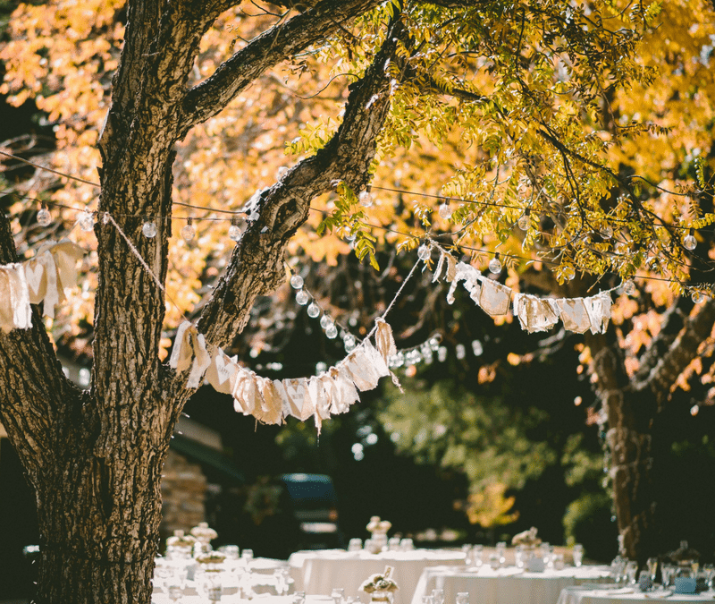 Outdoor Wedding Venues In Michigan The Pe Outdoor Wedding Venues In Michigan
