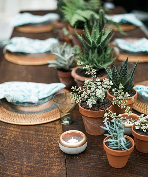 spring wedding succulent centerpieces