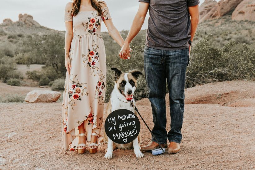 dogs in engagement announcements