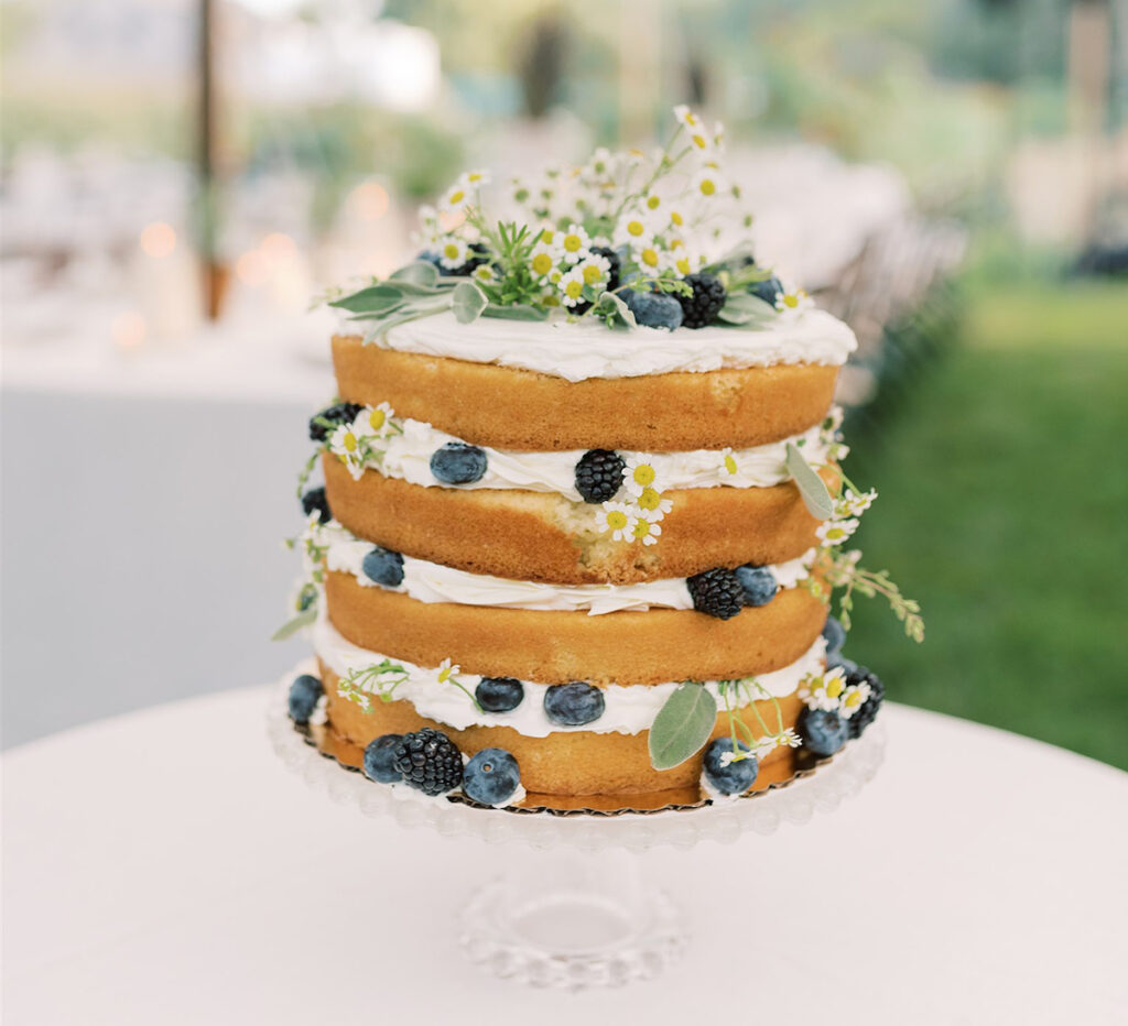 small wedding cake idea