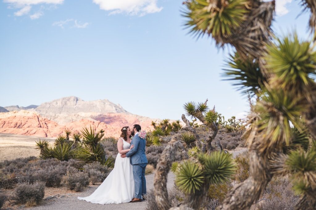 a marriage in the desert