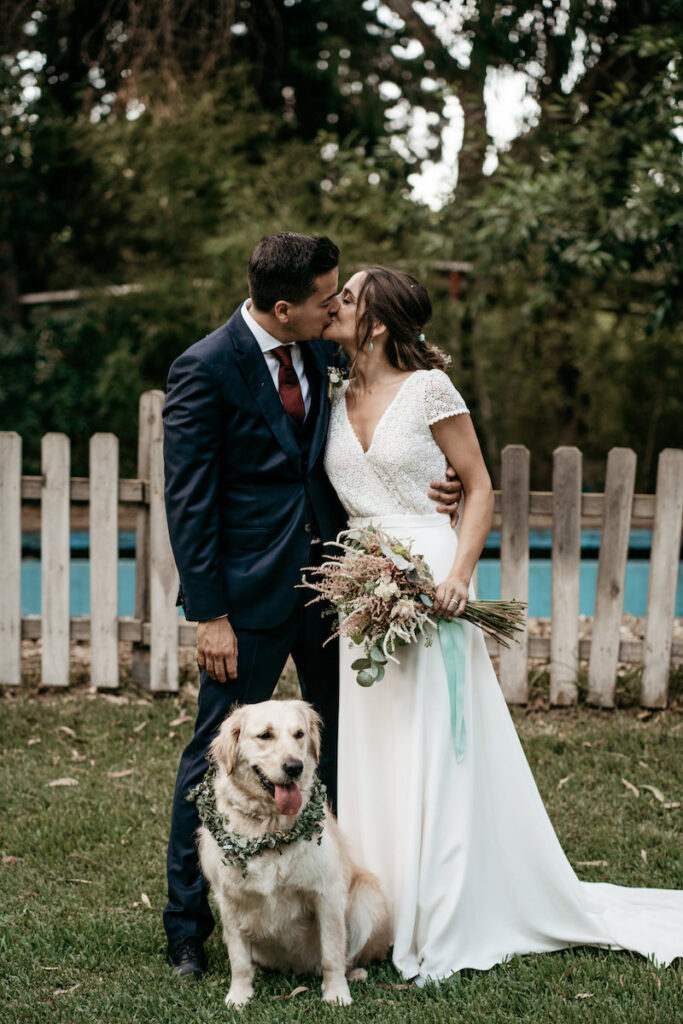 pets of honor at wedding