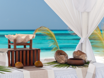 Black Wedding Dresses: 6 Ways to Embrace This Trend | The Wedding Shoppe