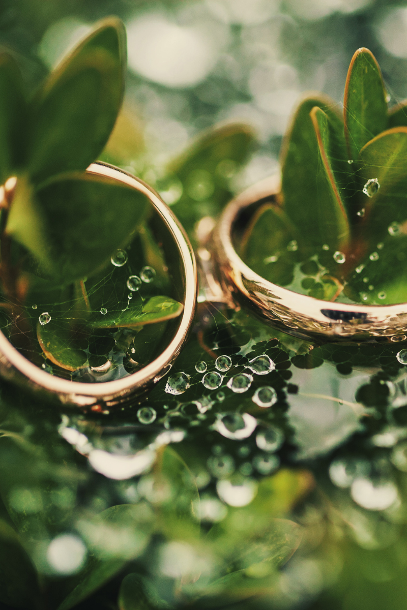 two wedding rings hanging on leaves