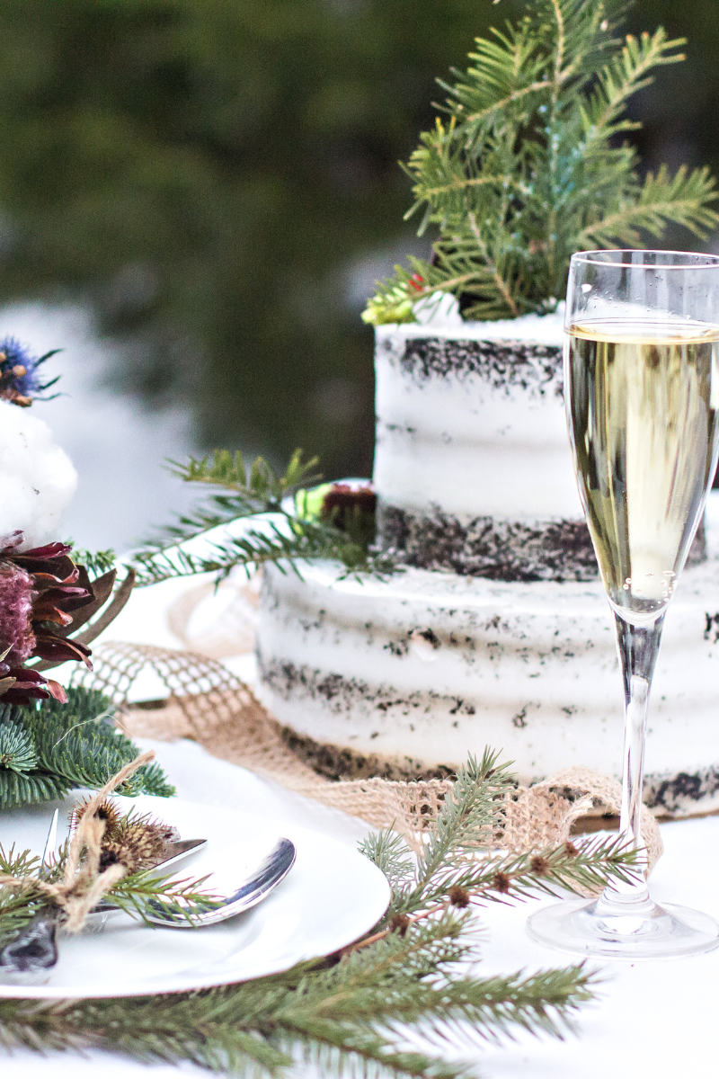 white winter wedding cake with fir tree garnish