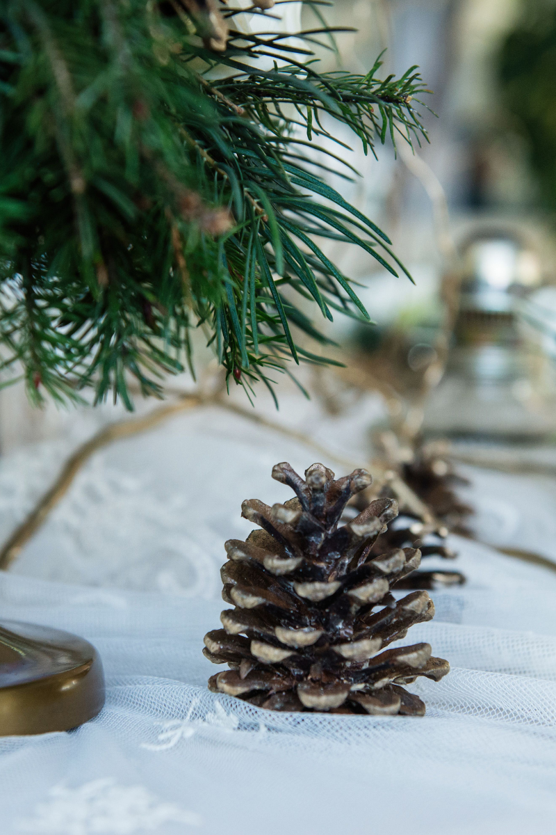 pinecone used as table decoration