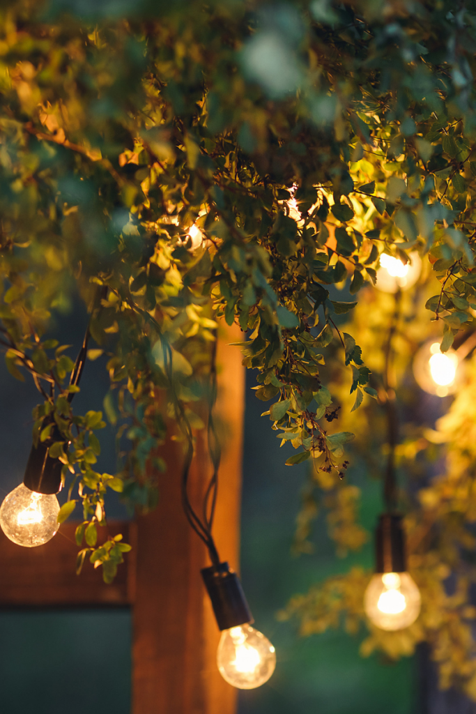 hanging lights in trees at a backyard wedding reception