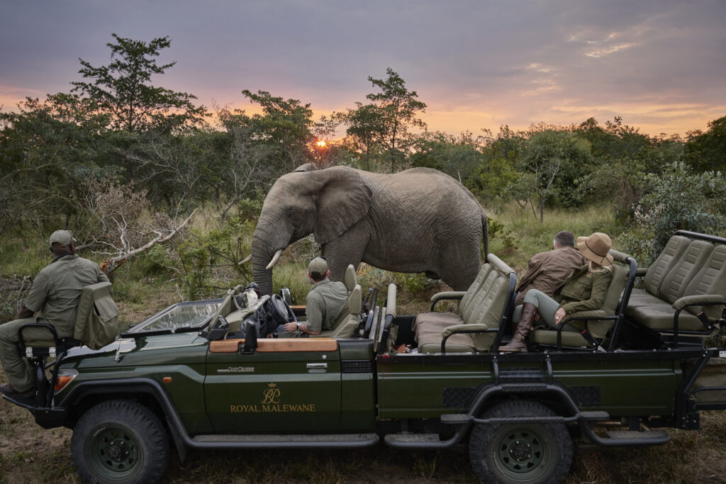south african honeymoon idea with elephants and a safari trip