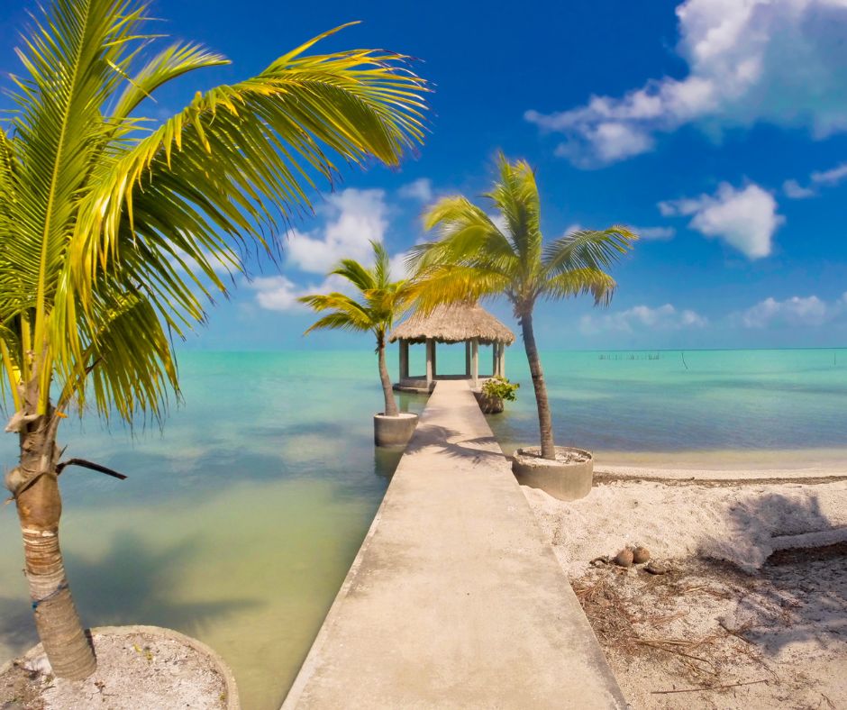 coast in Belize with palm trees and blue water for a dazzling honeymoon