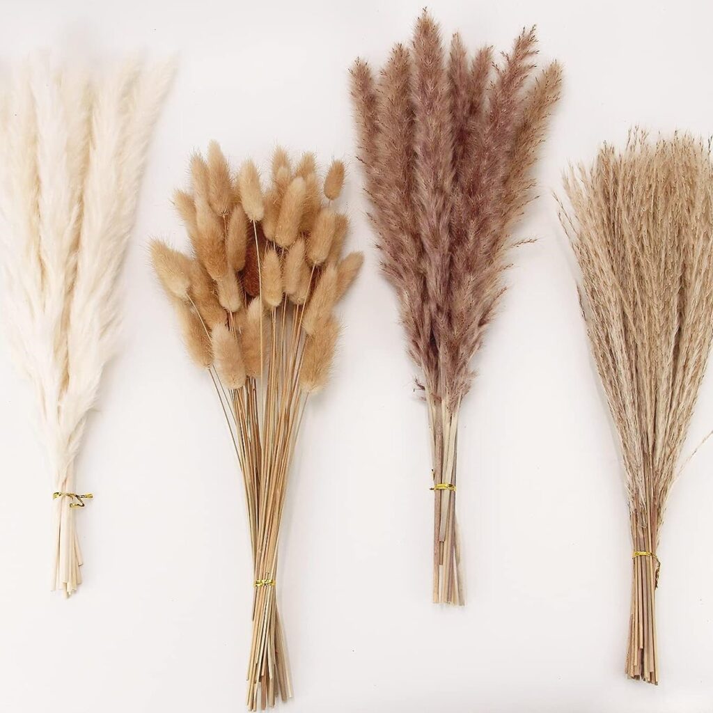 Layout of four different types of dried pampas grass. The first is white and fluffy, the second is camel with small tufts at the end, the third are darker brown and fluffy, while the last is sandy brown and narrow.