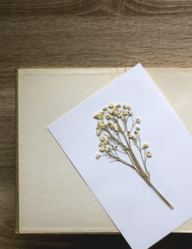 pressed flower artwork on a book and a white sheet of paper