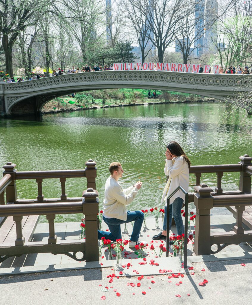 man proposing to his partner surrounded by roses on a bridge by a river