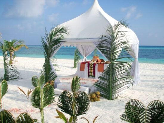 a tent on a tropical beach surrounded by palms