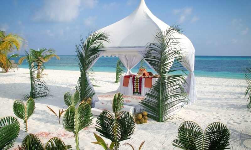 a tent on a tropical beach surrounded by palms