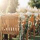 an outdoor wedding with wooden chairs and plant collections attached