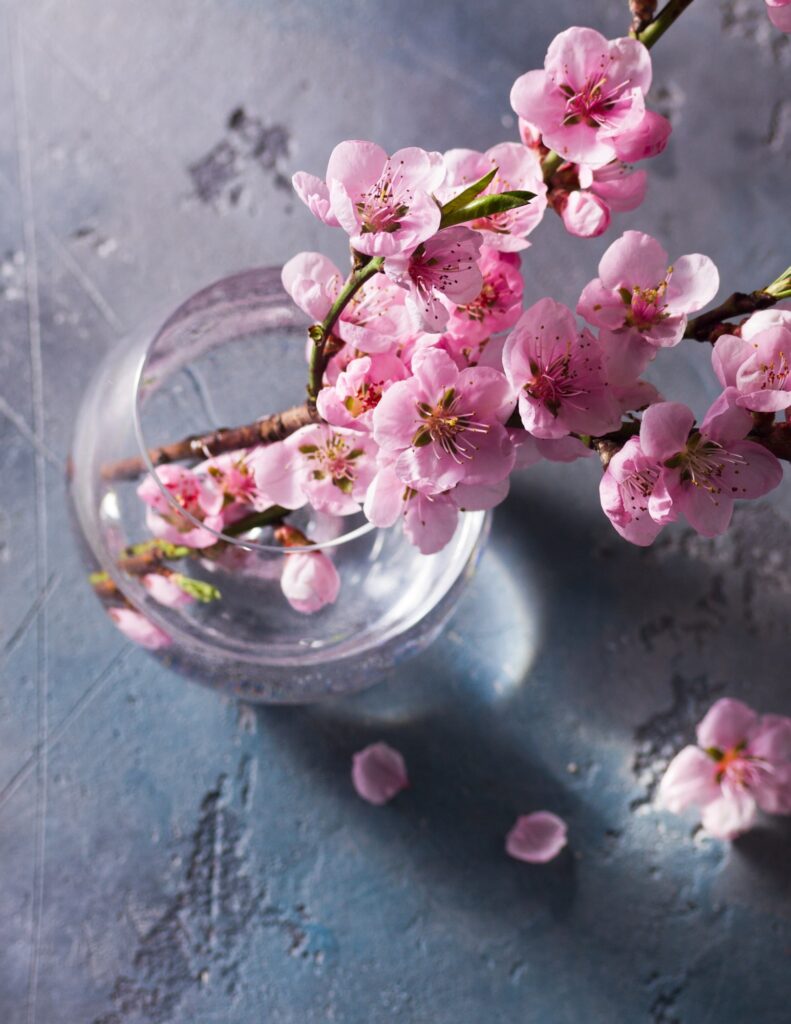 pink cherry blossoms in a water-filled jar for a spring wedding