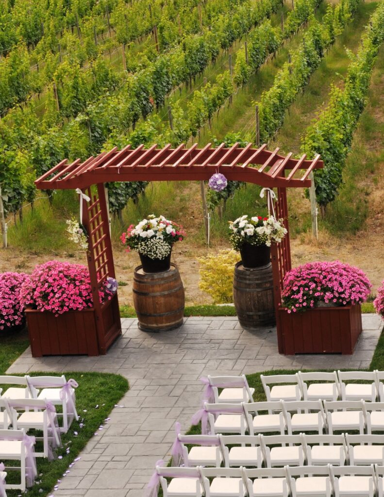 a wedding venue set up in a vineyard with pink and white flowers under a trellis