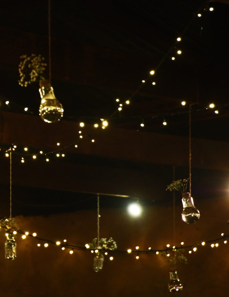 a series of string lights and hanging planters for a fantastical wedding