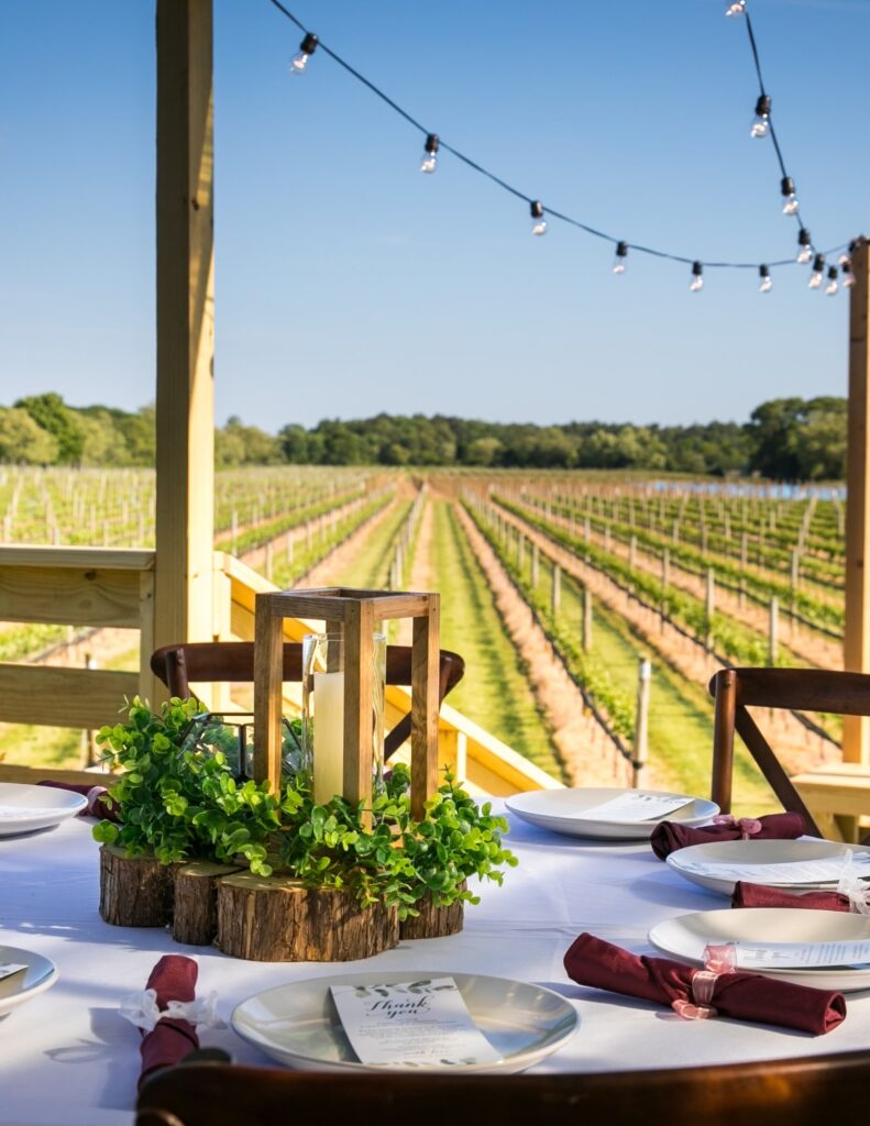 a wedding table setting overlooking a beautiful vibrant vineyard, perfect for a fall wedding in Michigan