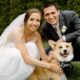 A husband and wife with their corgi dog who wears a "best boy" scarf