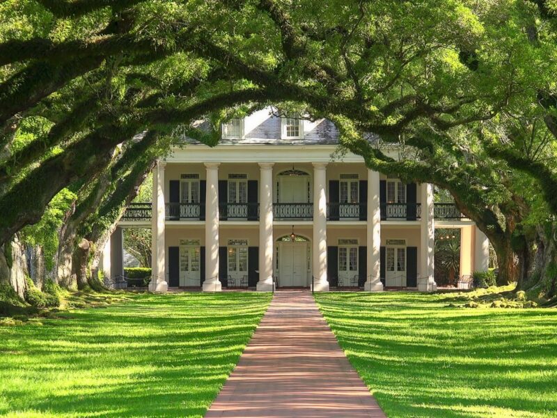 A grand Southern estate framed by moss-covered oak trees, leading to a picturesque entryway with white columns and lush greenery.