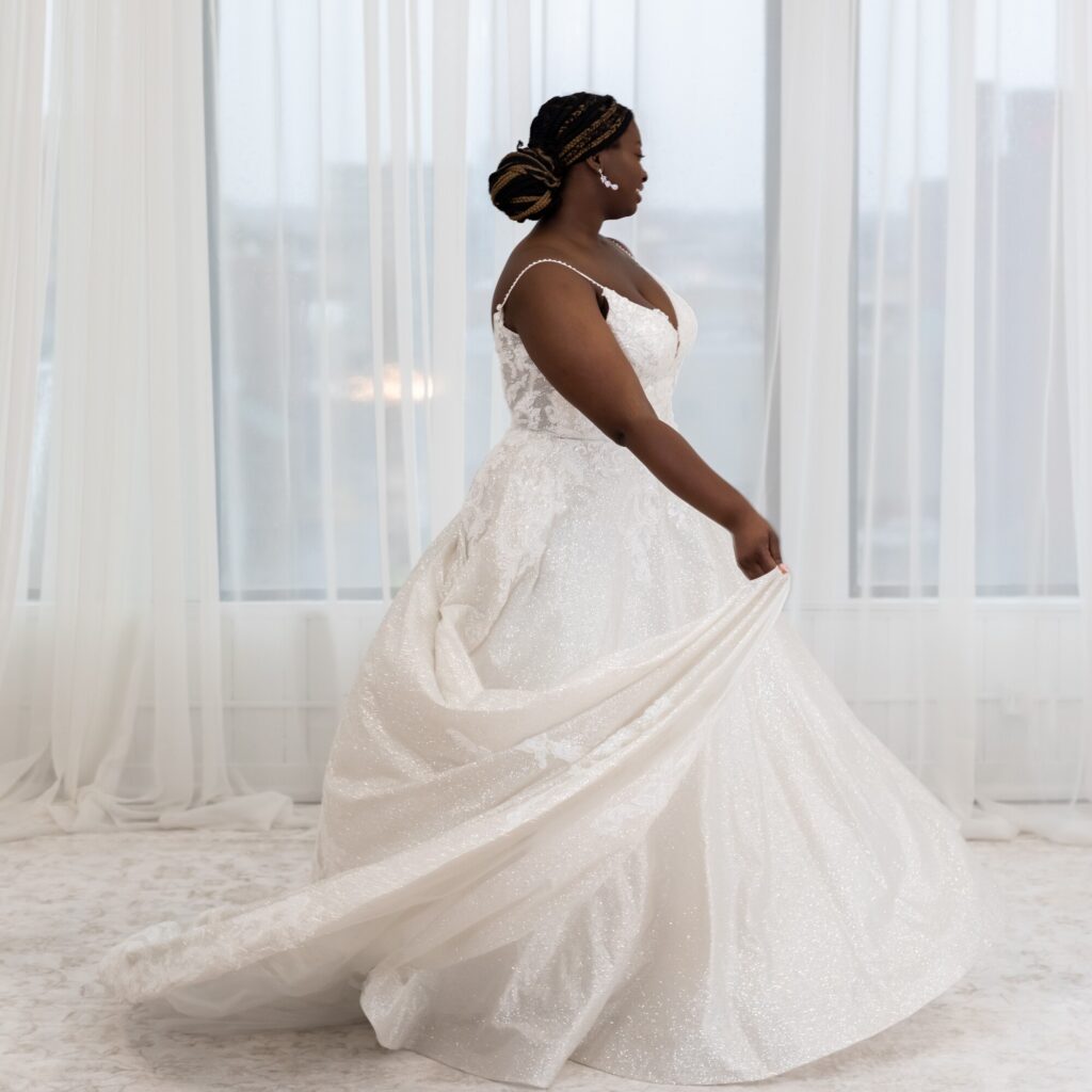 princess style plus size ballgown