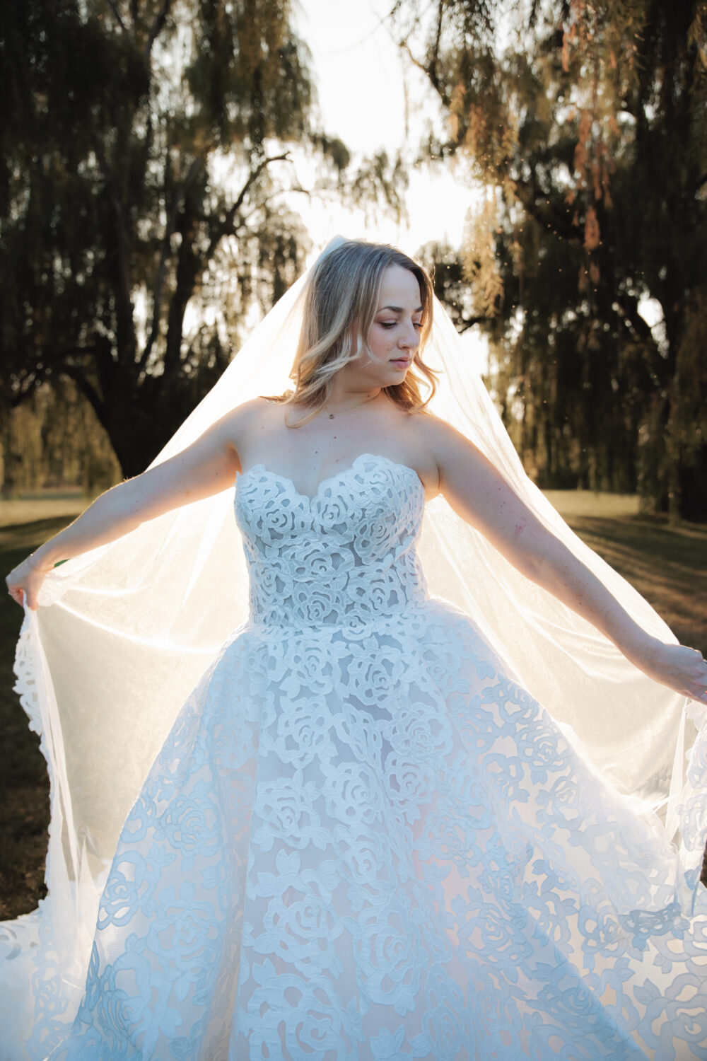 A bride in a strapless lace gown holds out her veil with sunlight glowing behind her.