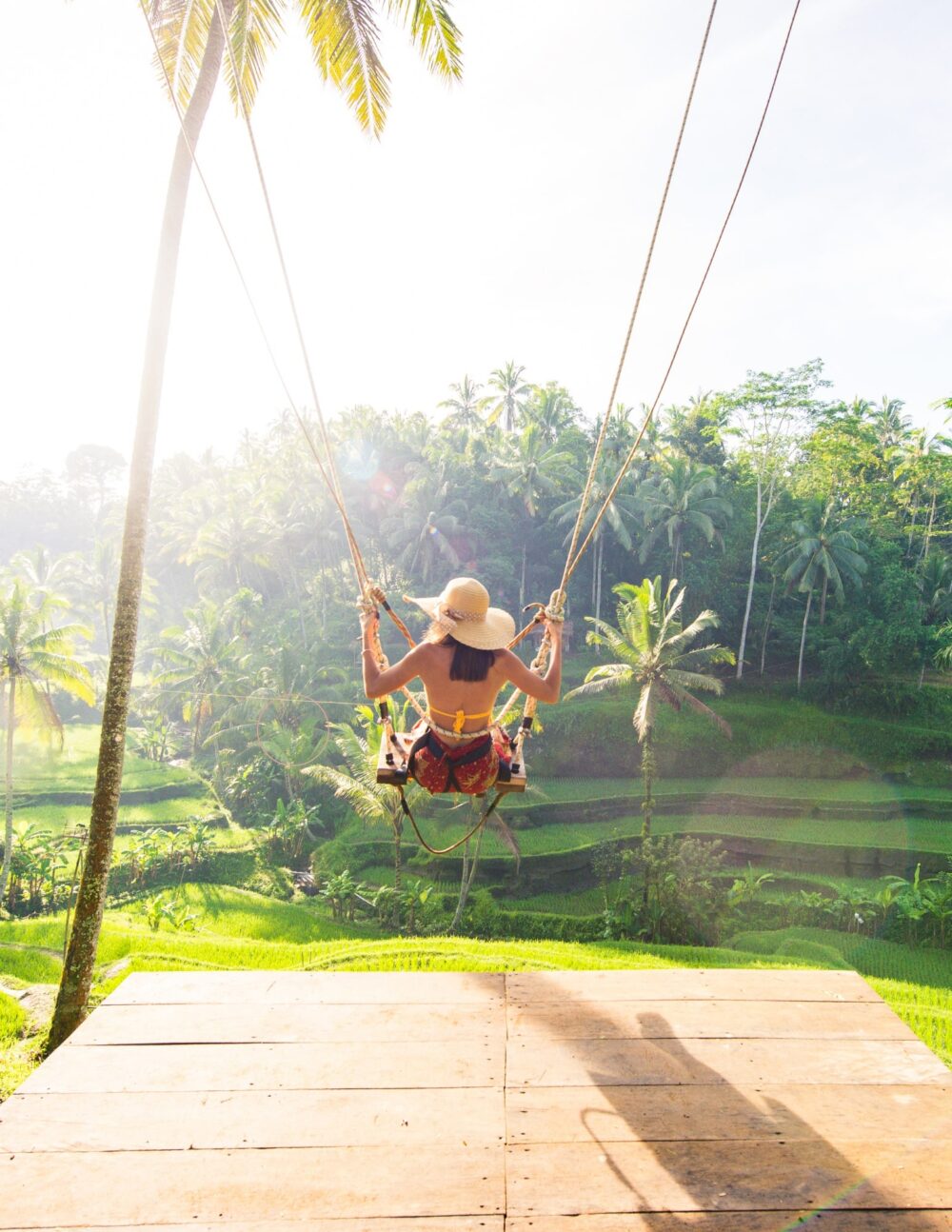 Bride and groom on a swing surrounded by palm trees and sunlight.