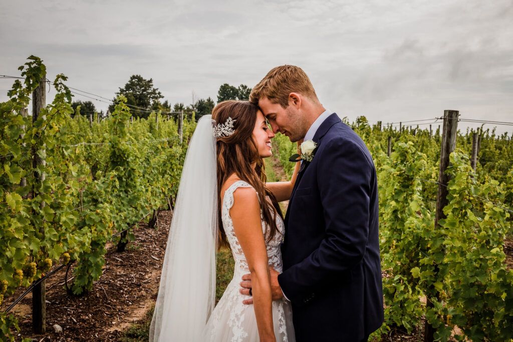 Bride and groom sharing a kiss in a vineyard during golden hour.
