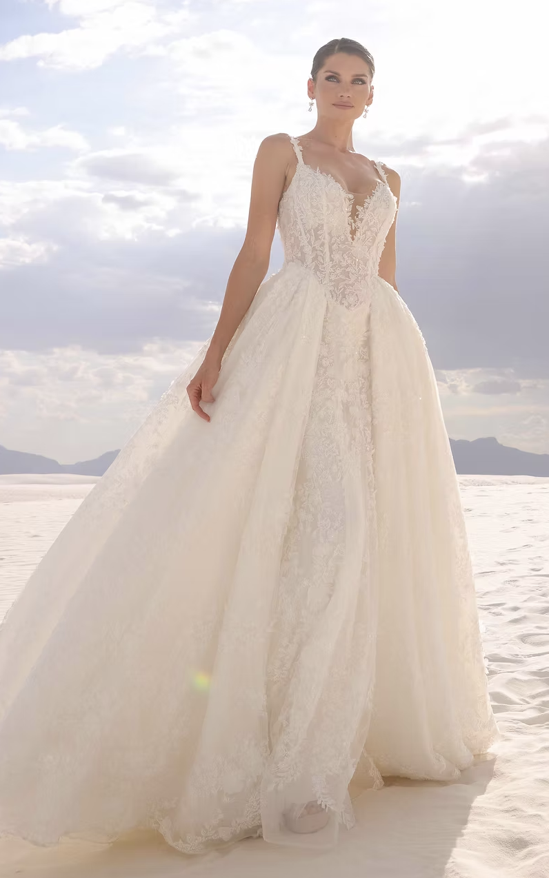 A bride wearing a voluminous lace ball gown with a deep V neckline posing in a bright desert landscape under soft sunlight.