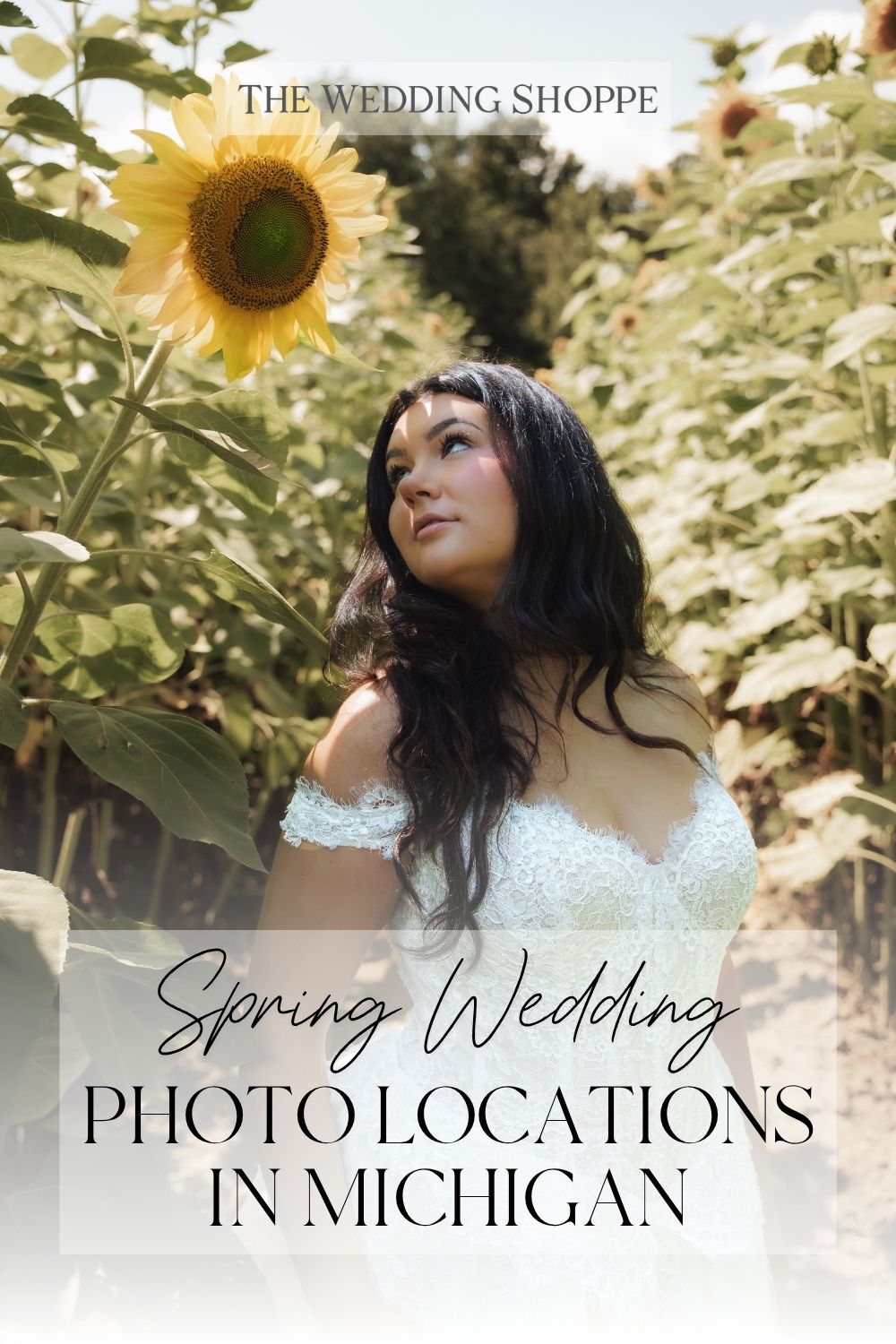 Pinnable blog post graphic for "Spring Wedding Photo Locations in Michigan" from The Wedding Shoppe.