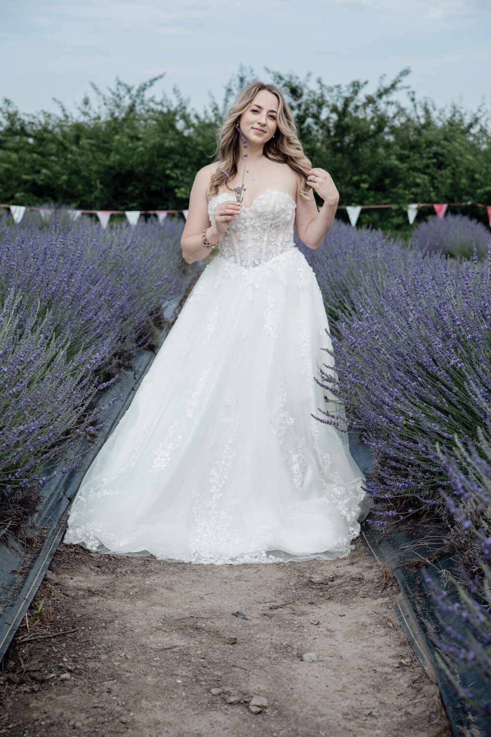 A full-length view of a bride wearing a strapless wedding dress standing on a dirt path between rows of blooming purple plants.
