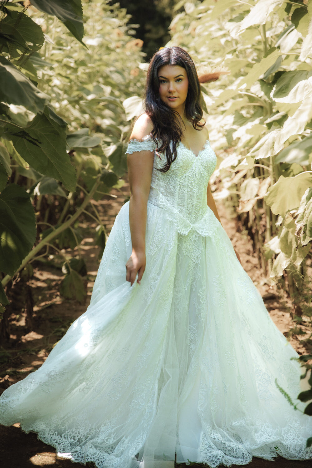 A bride in an off-the-shoulder lace wedding dress poses in a sunflower field surrounded by tall green stems and bright yellow blooms.